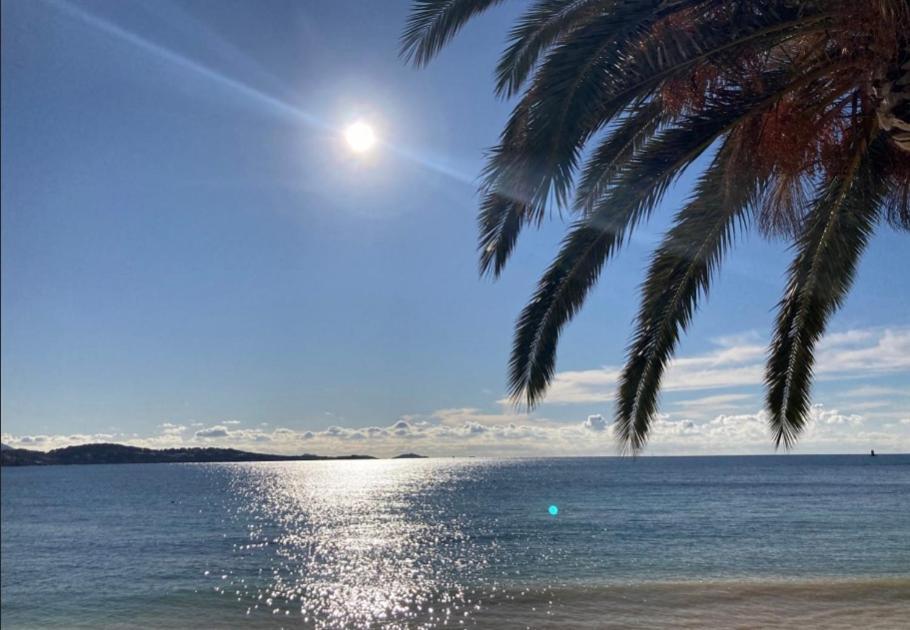 L Annexe 50M De La Plage バンドール エクステリア 写真