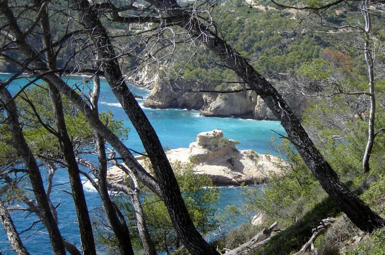 L Annexe 50M De La Plage バンドール エクステリア 写真